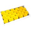 Seebiroos Kollane 5 tk- 25 tk (L suurus) - Image 2