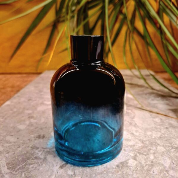 Kodulõhnastaja pudel must/türkiis 200 ml + kork