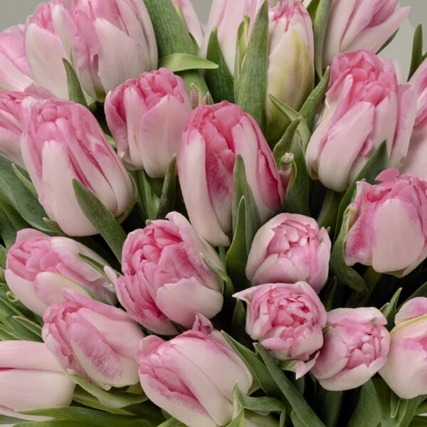 Aroomiõli Tulbid 20 ml- 1 L